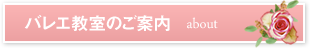 バレエ教室のご案内